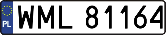 WML81164