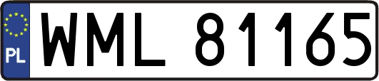 WML81165