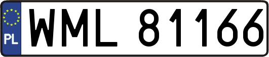 WML81166