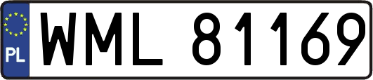 WML81169