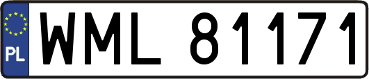 WML81171