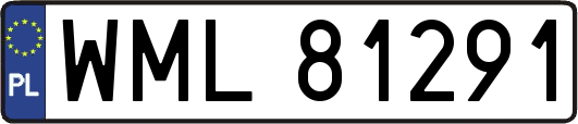 WML81291