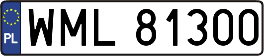 WML81300