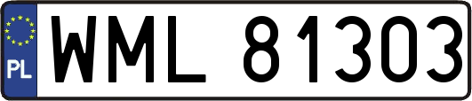 WML81303