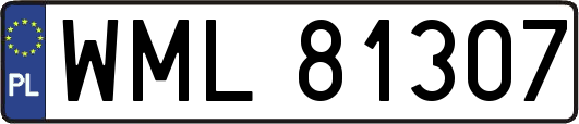 WML81307