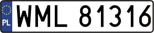 WML81316