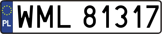 WML81317