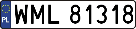 WML81318