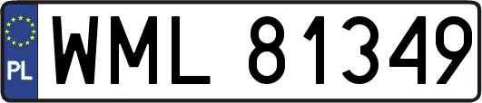 WML81349