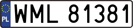 WML81381