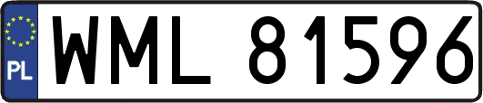 WML81596