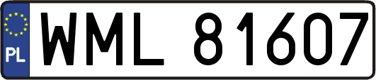 WML81607