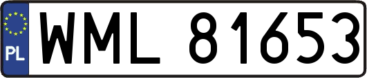 WML81653