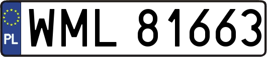 WML81663