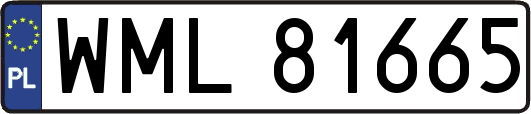 WML81665