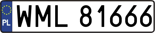 WML81666