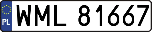 WML81667