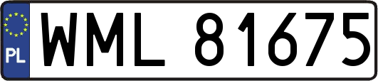 WML81675