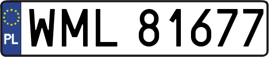 WML81677