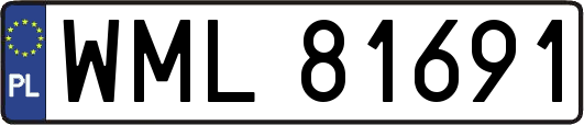 WML81691