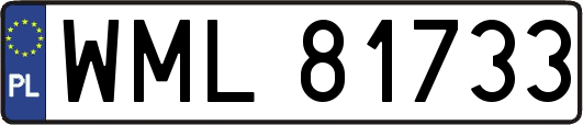 WML81733