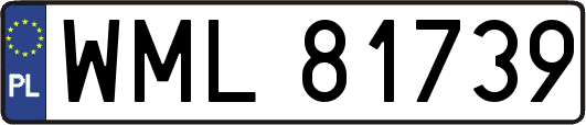 WML81739