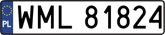 WML81824