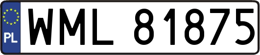 WML81875