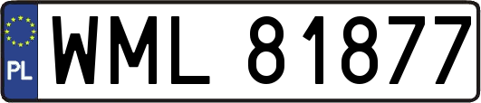 WML81877