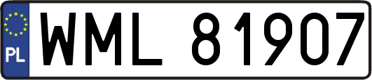 WML81907