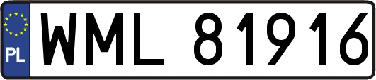 WML81916