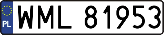 WML81953
