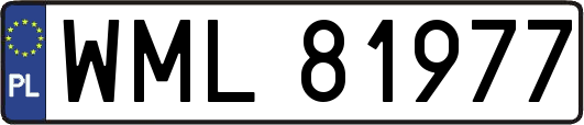 WML81977