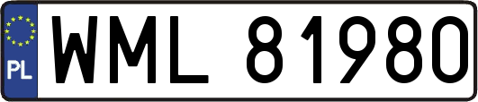 WML81980