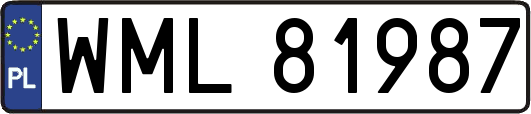 WML81987