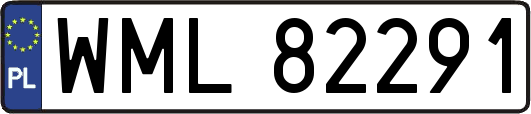 WML82291