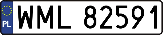WML82591