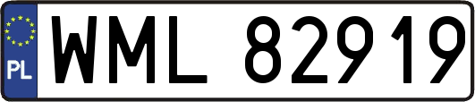 WML82919
