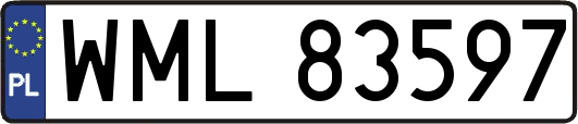 WML83597