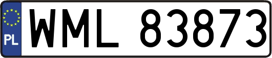 WML83873