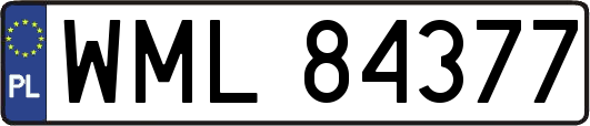 WML84377