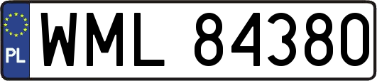 WML84380