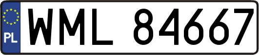 WML84667