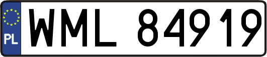 WML84919
