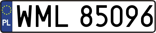 WML85096
