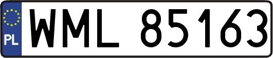 WML85163