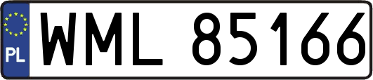 WML85166