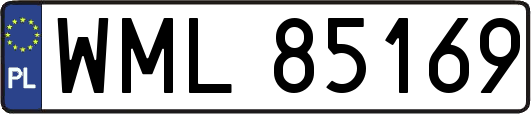 WML85169