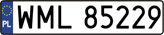 WML85229