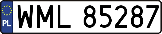 WML85287